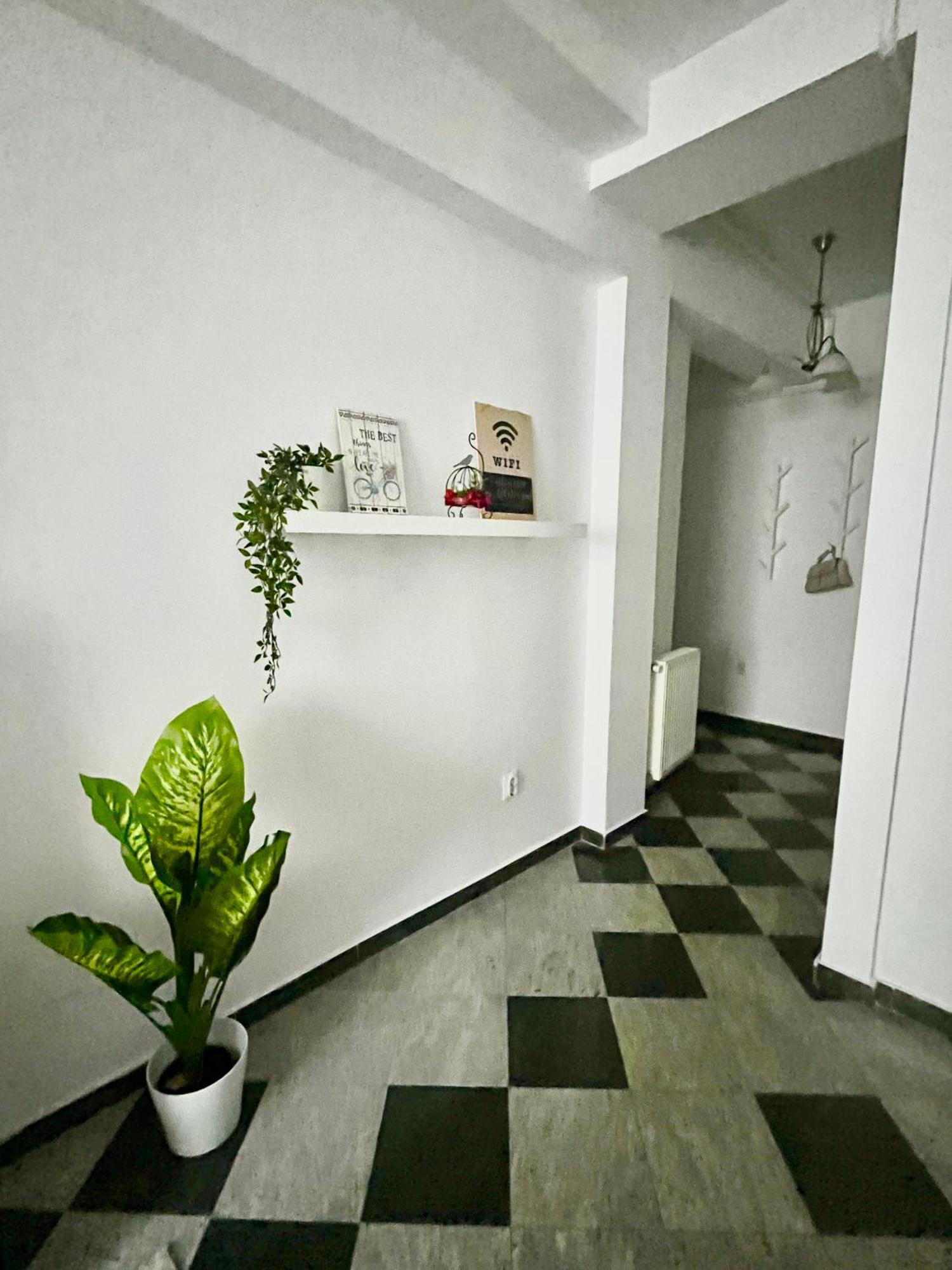 Victoriei Spacious Studio Boekarest Buitenkant foto